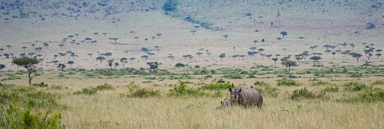 Explore Masai Mara