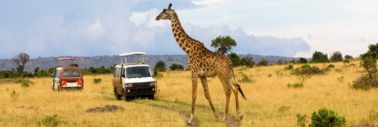 Into the Heart of the Majesty of the Masai Mara