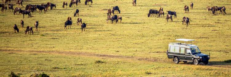 Transfer from Nairobi to Masai Mara National Reserve