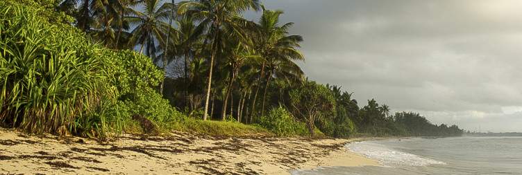 Tsavo West - Mombasa