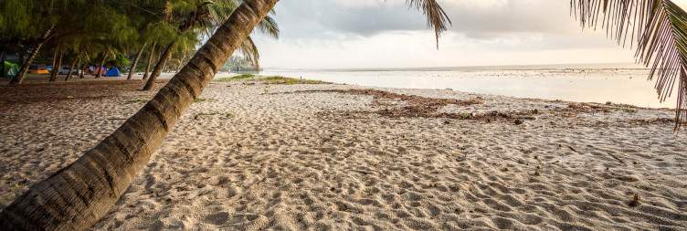 Ngutuni Sanctuary to Mombasa