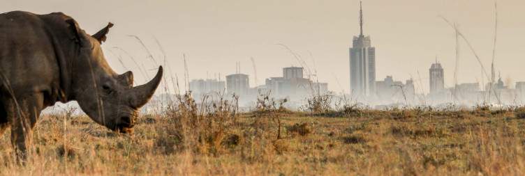 Nairobi National Park