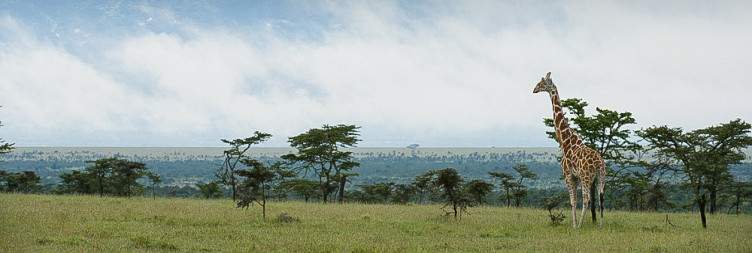 Ol Pejeta