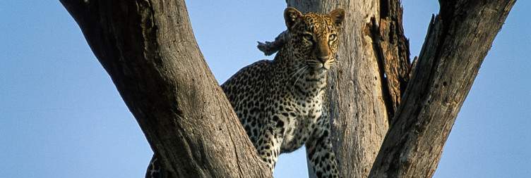 Nairobi-Samburu National Park