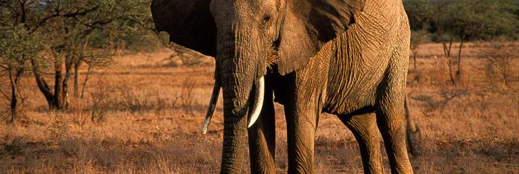 Nairobi to Samburu National Reserve