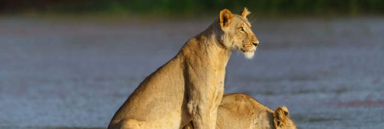 Nairobi to Samburu National Reserve