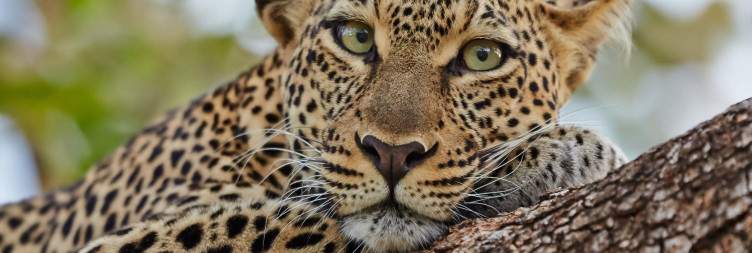 Explore Samburu National Reserve
