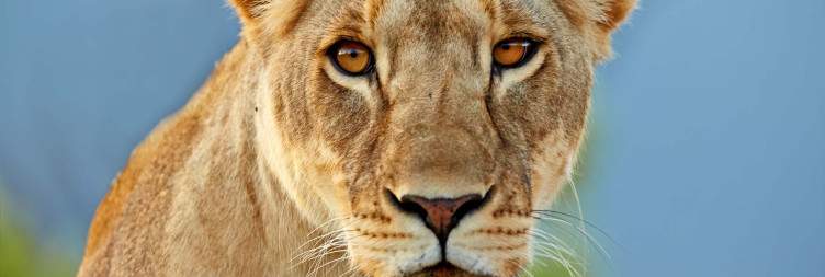 Aberdare to Samburu National Reserve