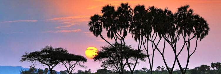 Samburu Wilderness Experience