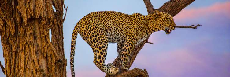 Nairobi to Samburu National Reserve