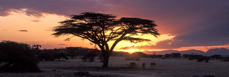 Shaba – Cultural Experience