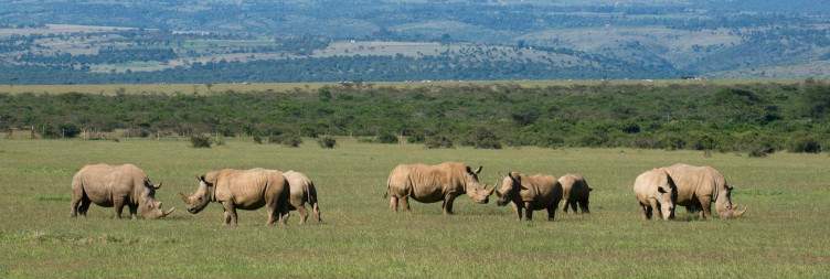 Nairobi-Solio Ranch