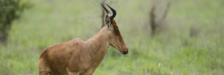 Amboseli to Taita hills sanctuary