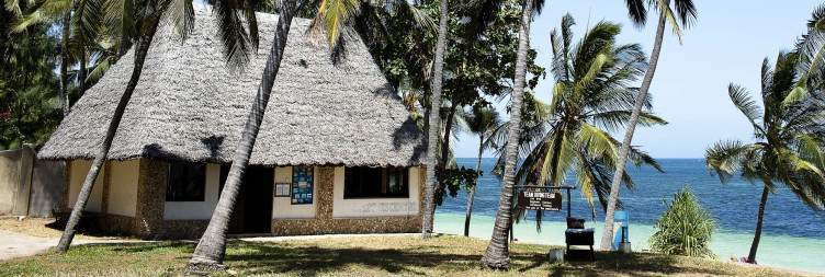 Tidal Pools, Diani Excursion, and Coastal Leisure