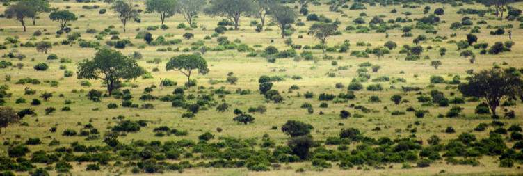 Tsavo West National Park to Tsavo East National Park
