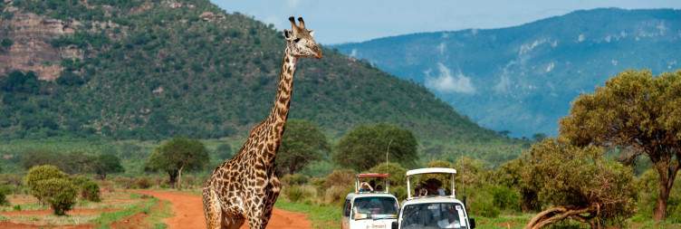 Tsavo West - Tsavo East National Park
