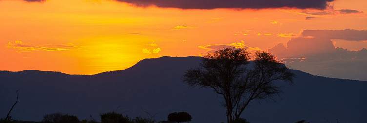 Mombasa to Tsavo East National Park