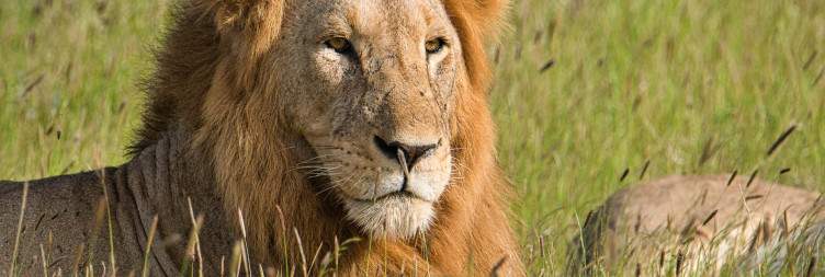 Mombasa – Tsavo East