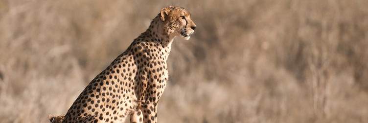 Tsavo West National Park-Tsavo East National Park