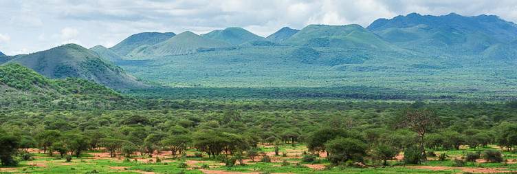 Tsavo East - Tsavo West National Parks
