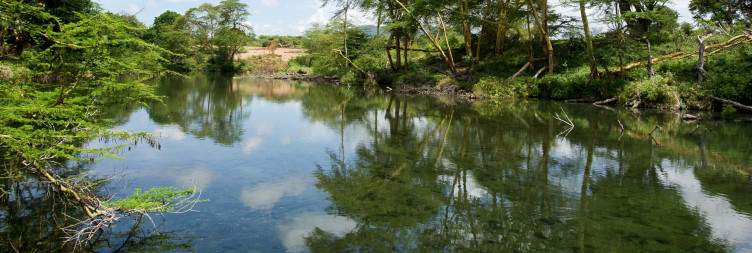 Amboseli – Tsavo West National Park