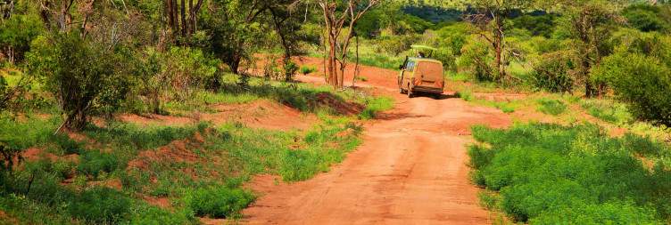 Amboseli to Ziwani
