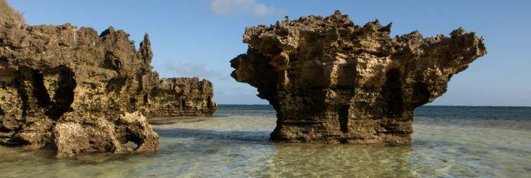 Exploring Watamu