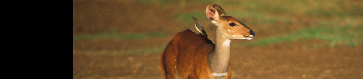 3-Day Aberdare & Ol Pejeta Conservancy