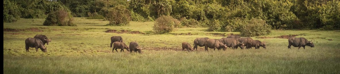 6-Day Private Meru NP/ Samburu NR/Aberdares/Sweetwaters