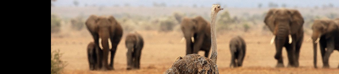 2-Day Olemayian Amboseli Cottages Private Safari