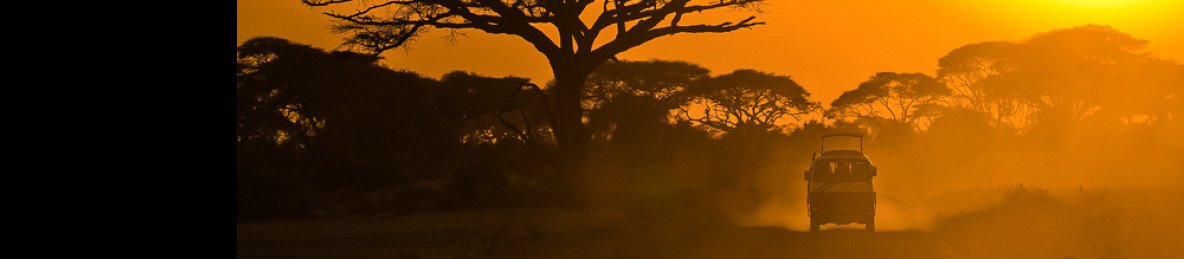 11-Day Kenyas Iconic Safari from Peak to Plains