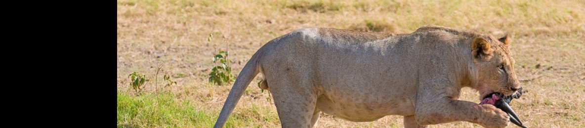 5-Day Tsavo NP, Amboseli & Taita Hills from the Coast