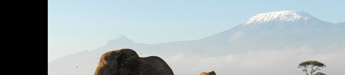 3-Day Amboseli- Tsavo West Safari