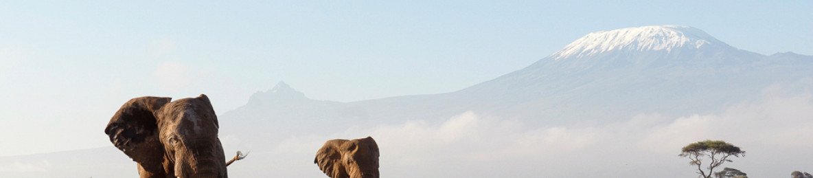 3-Day Little Amanya Camp Amboseli Private Tour