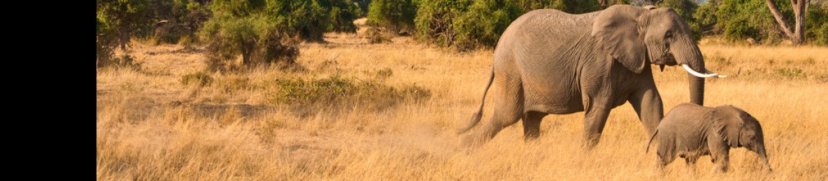2-Day Amboseli Budget Safari from Nairobi