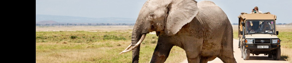 3-Day Masai Mara Migration Extravaganza Safari