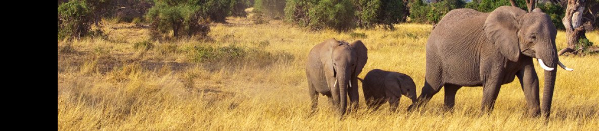 10-Day Mesmerizing Bush and Beach Safari