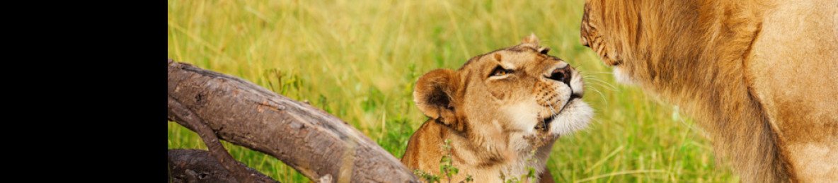 11-Day Best Kenya & Tanzania Safari