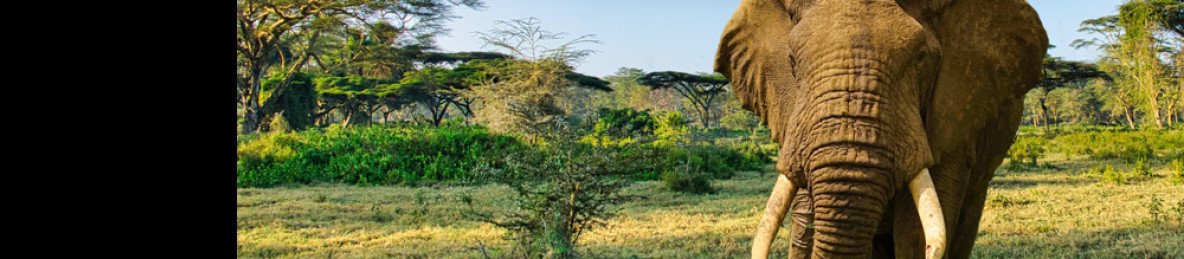 2-Day Private Safari to Amboseli NP from Nairobi by Van