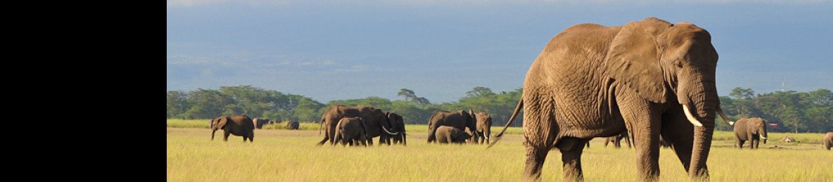 3-Day Amboseli National Park Private Safari Tour