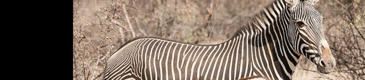 7-Day Phenomenal Wildlife Experience
