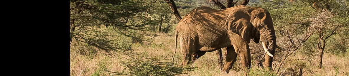 2-Day Tsavo East & Taita Hills Game Sanctuary