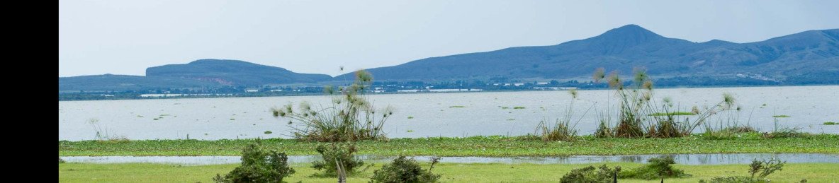 4-Day Masai Mara Reserve and Lake Naivasha Expeditions