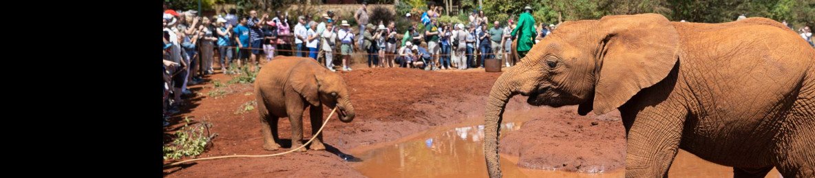 3-Day Samburu Trip Escape – the Home of Special Five