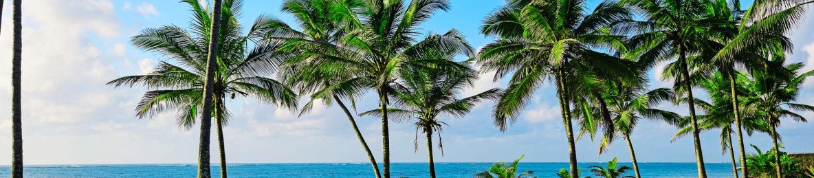 8-Day Beach Holiday Safari
