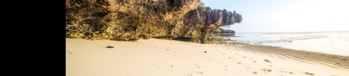 8-Day Bush & Beach Fly in & out Luxury Expedition