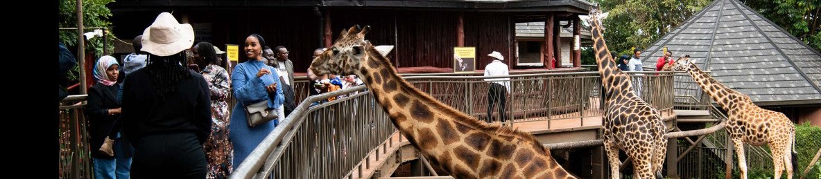 1-Day Nairobi National Park Exclusive Adventure