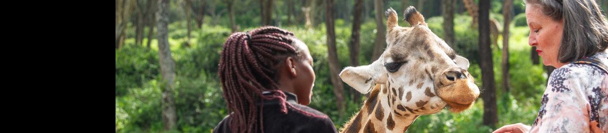 1-Day Nairobi Park , Elephant and Giraffe Center Safari