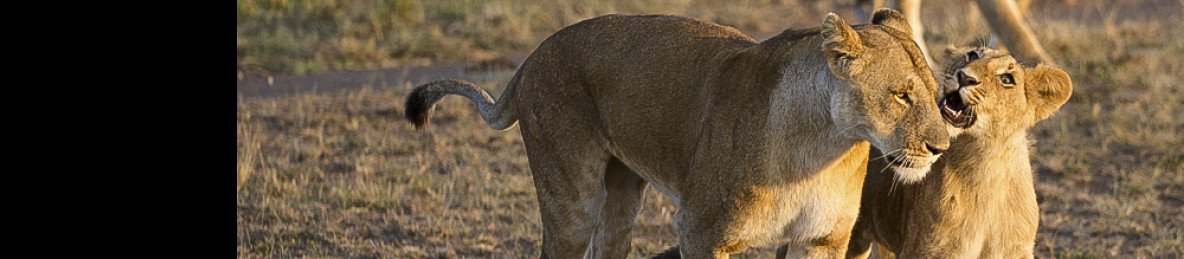 2-Day Masai Mara Private Budget Tour