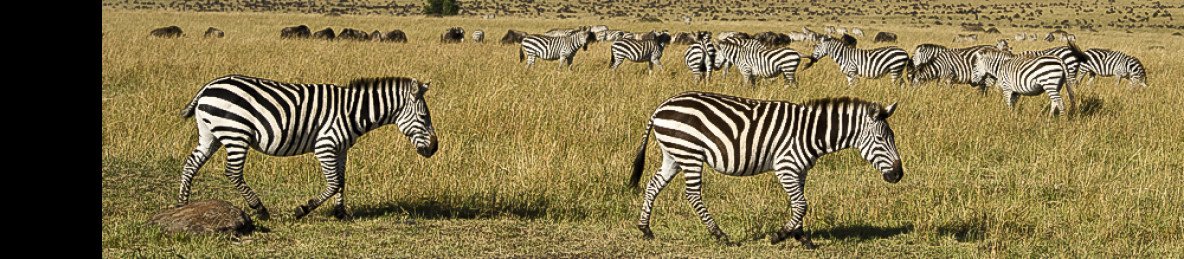 5-Day Wilderness - Lakes Group Safari